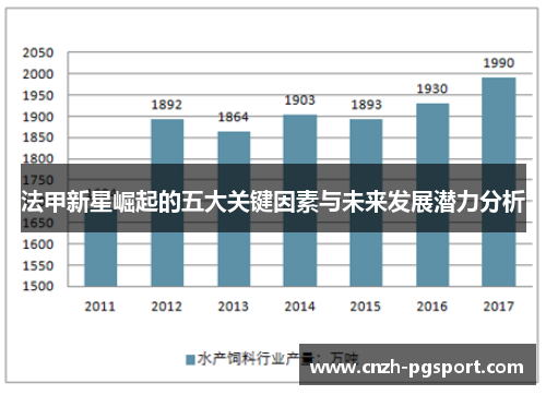 法甲新星崛起的五大关键因素与未来发展潜力分析