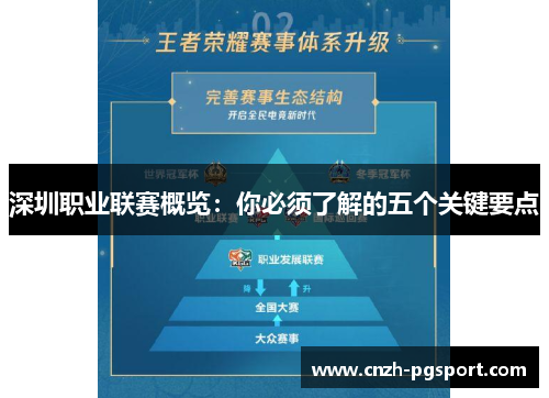 深圳职业联赛概览：你必须了解的五个关键要点