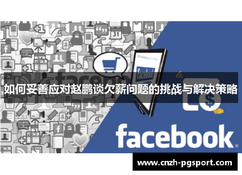 如何妥善应对赵鹏谈欠薪问题的挑战与解决策略