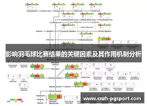 影响羽毛球比赛结果的关键因素及其作用机制分析