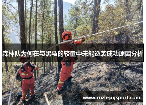 森林队为何在与黑马的较量中未能逆袭成功原因分析