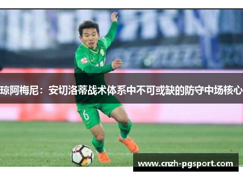 琼阿梅尼：安切洛蒂战术体系中不可或缺的防守中场核心