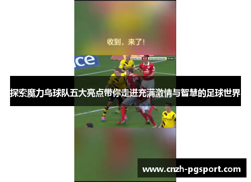 探索魔力鸟球队五大亮点带你走进充满激情与智慧的足球世界