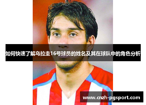 如何快速了解乌拉圭16号球员的姓名及其在球队中的角色分析
