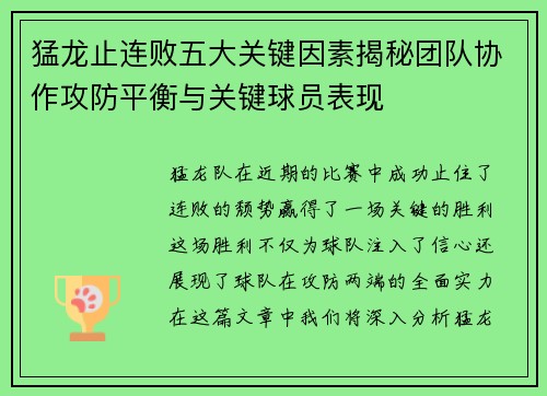 猛龙止连败五大关键因素揭秘团队协作攻防平衡与关键球员表现